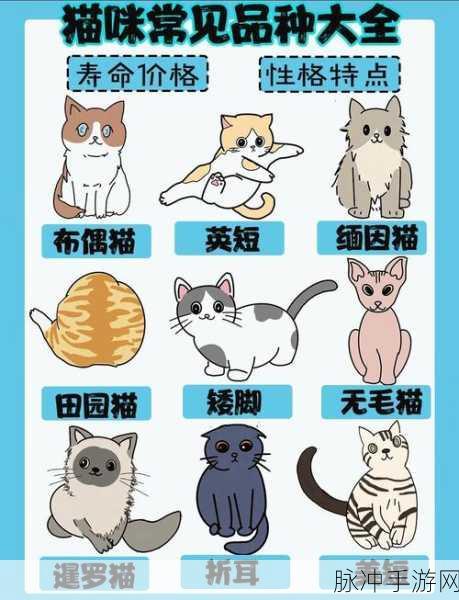 创造与魔法萌宠猫咪品种全揭秘