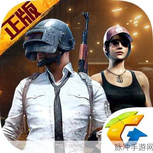 绝地求生标记,解锁战场上的智慧之眼新纪元