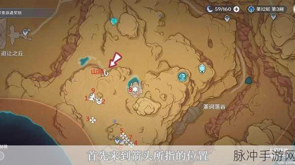 须弥全揭秘，解锁原神神秘国度的冒险之旅