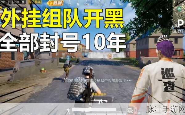 和平精英封神榜全攻略,查看方法与封神技巧