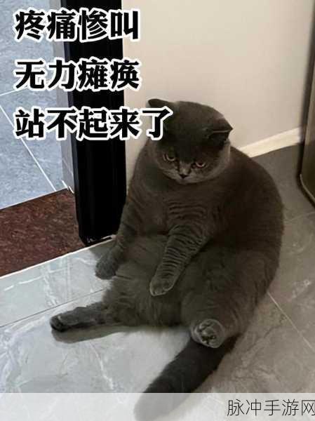 神经猫风靡全网,魔性合成乐无边,休闲新宠来袭