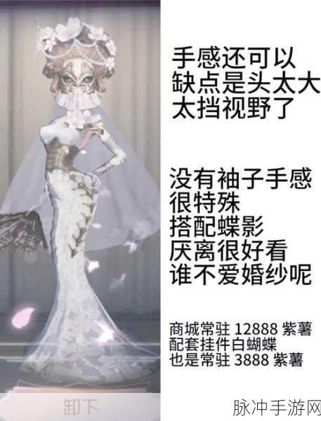 红蝶飞舞之谜,深入探索第五人格的幕后世界