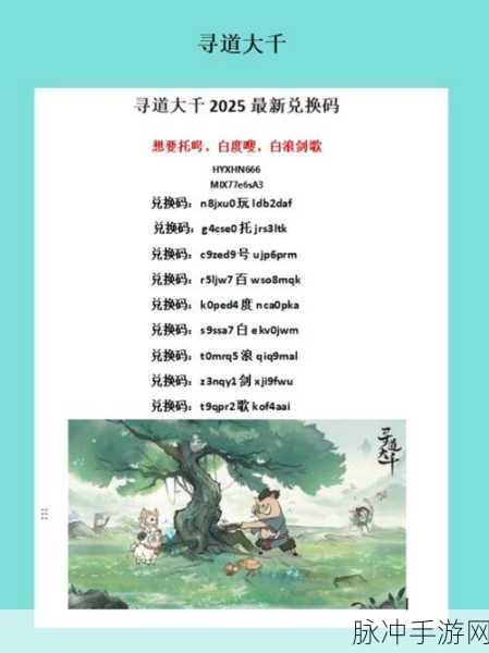 2025年寻道大千,流派纷呈,如何精准定位你的专属之道?