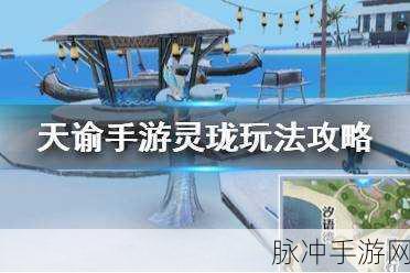 天谕灵珑深度解析,为灵珑爱好者打造的精华攻略