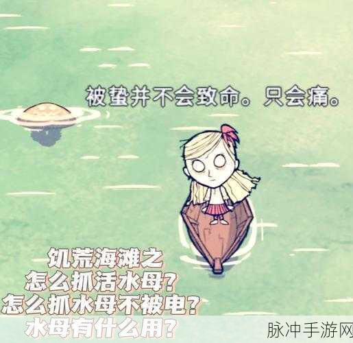 荒岛余生,挑战无限!饥荒海滩手机版燃爆登场