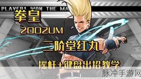 拳皇命运红丸闪耀,二阶堂红丸属性深度解析