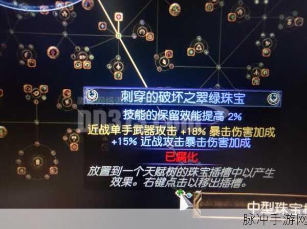 流放之路,揭秘同技能石下的多样玩法与奥秘