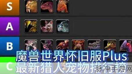 塔瑞斯世界猎人宠物深度探索,与萌宠并肩开启奇幻冒险