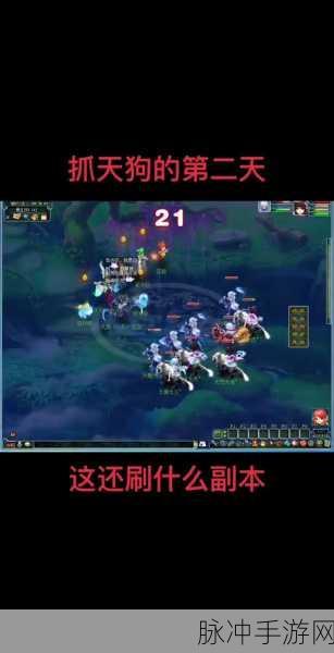 梦幻诛仙2宠物妖力,解锁战斗新境界