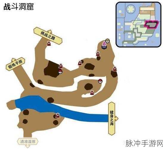 探秘宝可梦剑盾铠之孤岛,全地图极巨化坑位置全攻略
