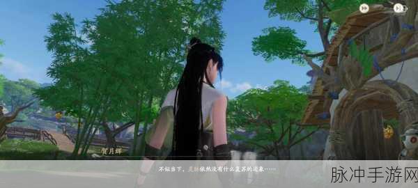 仙剑世界人物关系全揭秘,爱恨情仇交织的奇幻之旅