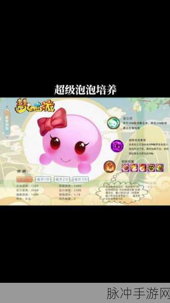 超级泡泡内丹搭配秘籍,解锁梦幻西游手游的最强战斗力