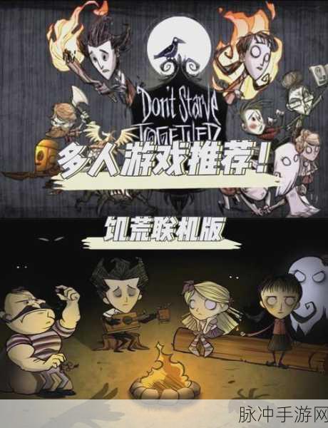 饥荒联机版,寒冬将至,你的生存指南来了!