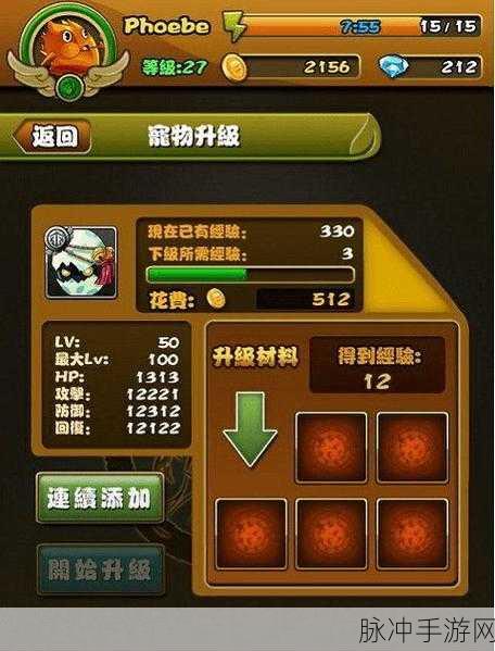 口袋妖怪对战深度剖析,揭秘个体值极限,探索战力巅峰