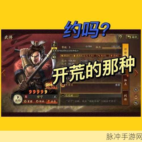 甘宁太史慈周泰阵容深度解析,三国志战略版中的不败铁三角