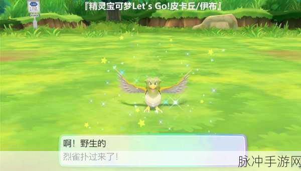 口袋妖怪火红烈雀,性格选择决定战斗胜负