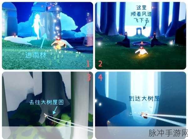 光遇探险秘籍,解锁雨林归途的梦幻奇遇