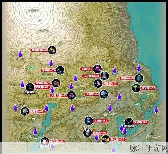 口袋妖怪黑白中阿尔宙斯的板块获取全攻略