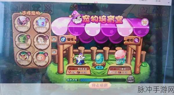 洛克王国公测绝版宠物蛋获取攻略与效用揭秘