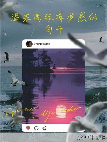 探寻我的世界从此没有了星辰大海背后的深意