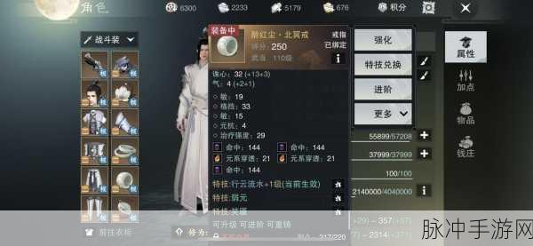 楚留香武当之路，属性加点深度剖析与实战攻略