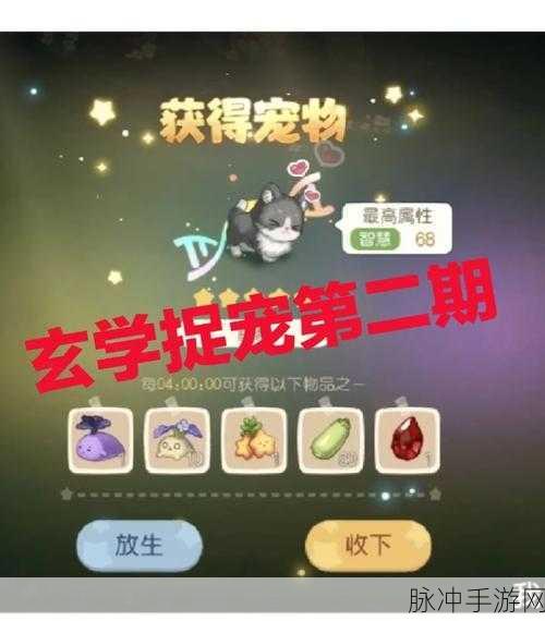 奥比岛奇遇,快乐兔捕捉全攻略,揭秘轻松捕获萌宠的独家秘诀