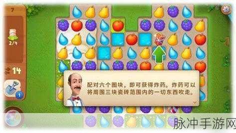 梦幻花园背包道具全攻略,解锁高效消除秘籍