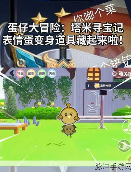 宝可梦大探险,揭秘蛋蛋的奇妙进化之旅
