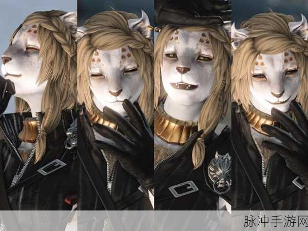 FF14硌狮族深度探索,种族魅力与游戏之旅