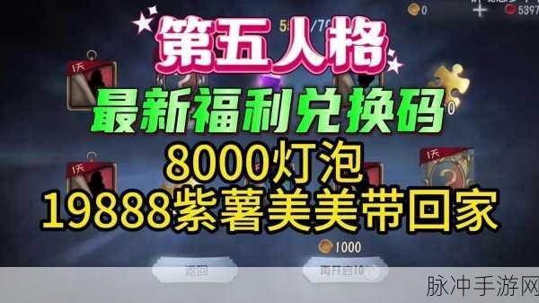 独家揭秘,第五人格激活码背后的秘密通道