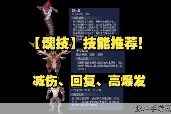 妄想山海雪鲸踪迹探寻,揭秘高概率刷新点