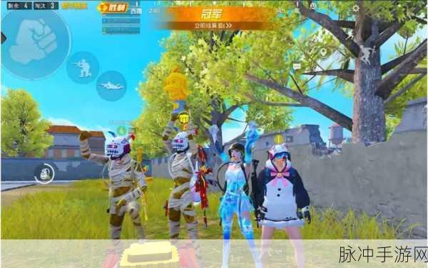 和平精英四排战术大揭秘,决胜战场,携手共赴荣耀之路