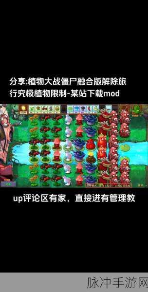 植物大战僵尸,策略与技巧的终极指南