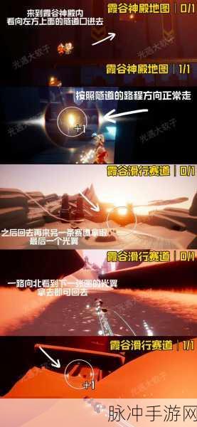 光遇雨林探索,揭秘小金人全位置攻略