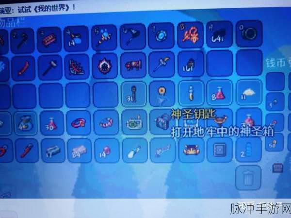 泰拉瑞亚圣神溶液获取秘籍大公开