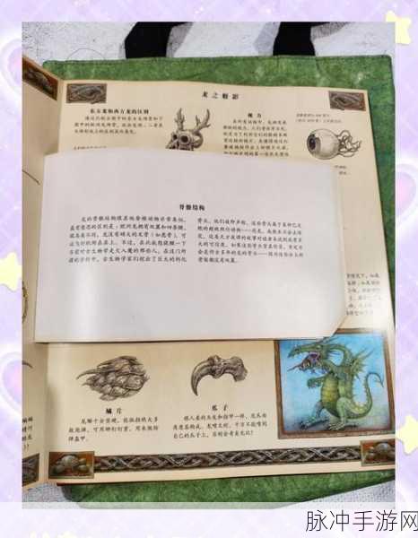 探寻江南笔下龙族的奇幻世界,作品全解析
