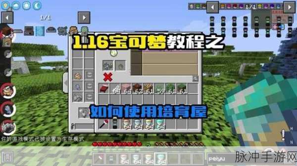 我的世界牧场繁殖环境全解析,打造梦幻精灵乐园
