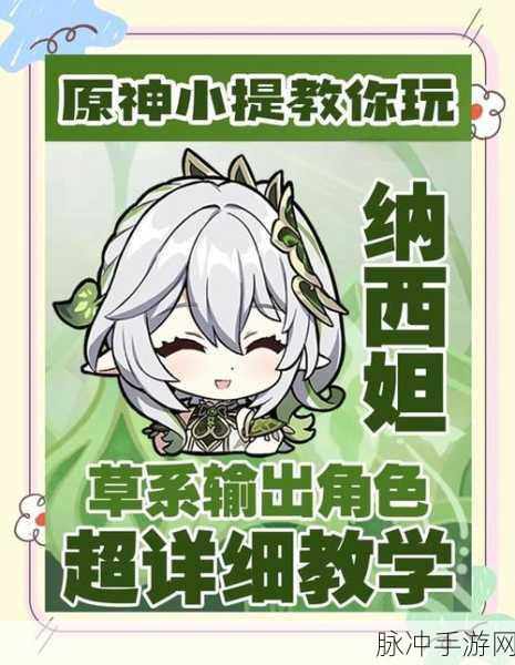 原神纳西妲配装全攻略,从入门到精通的蜕变之旅