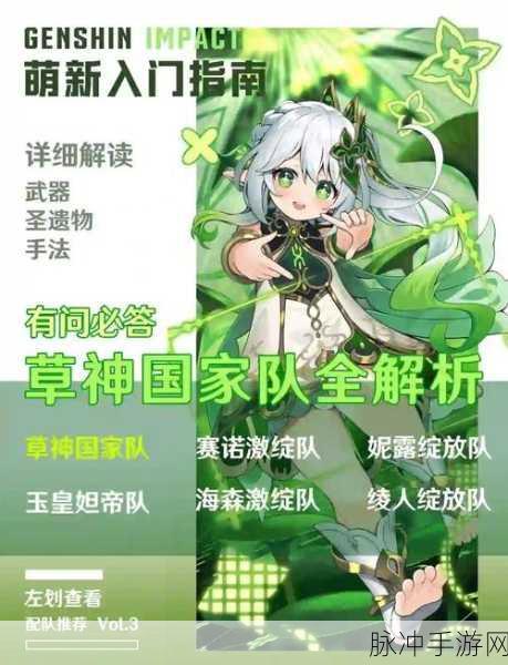 原神纳西妲配装全攻略,从入门到精通的蜕变之旅