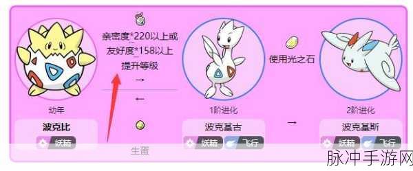 探寻口袋妖怪漆黑的魅影中波克比的踪迹