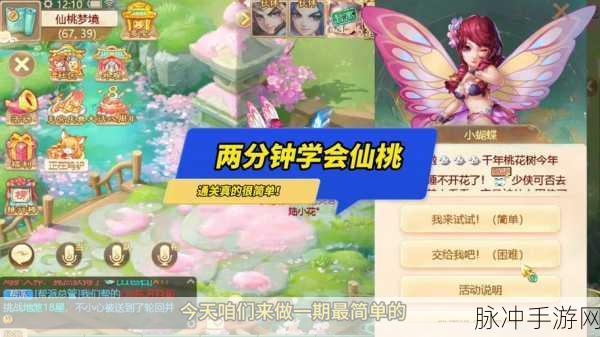 大话西游手游仙桃魇梦第四层,解锁轻松通关秘籍