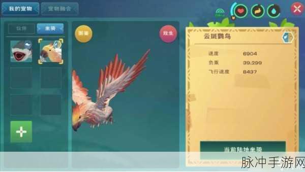 飞龙翱翔天际,创造与魔法飞龙坐骑获取全攻略