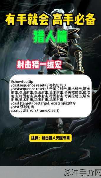 魔兽世界怀旧服猎人,解锁最快升级攻略的秘籍