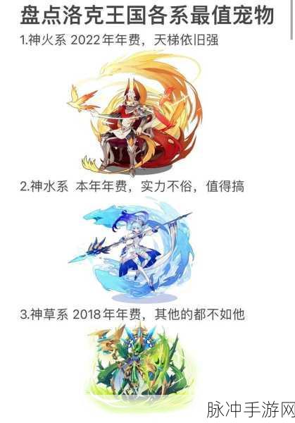 洛克王国2019年费会员,解锁新篇章,启程新冒险之旅