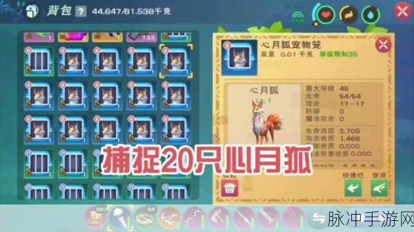 创造与魔法宠物培养指南,哪些宠物值得你倾心打造?