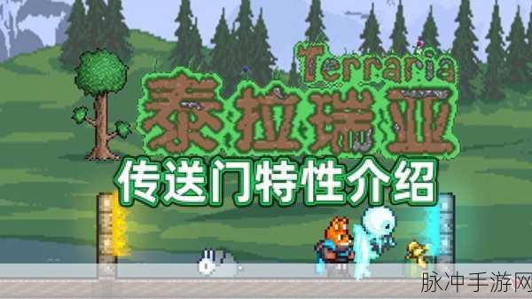 传送门枪大师,解锁休闲射击新乐趣,下载即刻启程!