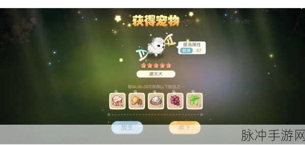 洛克王国,揭秘熊猫宝宝捕获秘籍,全方位攻略助你萌宠到手!