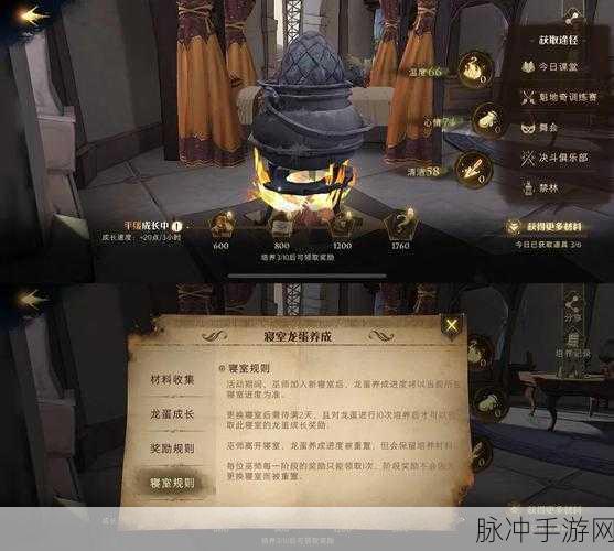 哈利波特魔法觉醒金卡攻略,解锁获取与使用秘籍