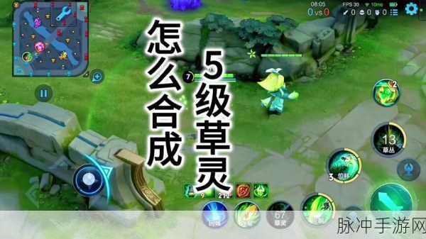 王者荣耀草灵技能惊艳亮相，上线时间及深度特性剖析