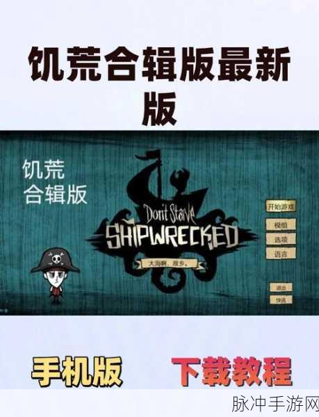 饥荒哈奇,解锁隐藏代码,探索实用玩法新境界